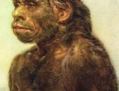 علماء الآثار: إنسان نياندرتال أزال الغابات فى ألمانيا قبل 125 ألف عام