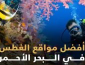 شاهد فى دقيقة.. أفضل مواقع الغطس فى البحر الأحمر