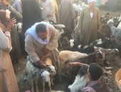 صور.. أهالى قرية شطورة بسوهاج يشكون: سوق ماشية يوقف حركة المرور