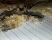 صور.. قارئ يشكو من وجود "برص" داخل رغيف العيش بعزية الهجانة