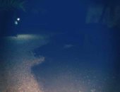 صور.. هطول أمطار غزيرة بالقرب من قرية الزعفرانة شمال البحر الأحمر 