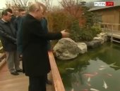 الرئيس الروسى بوتين يطعم الأسماك فى جزيرة القرم.. فيديو