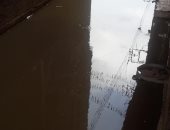 شكوى من انسداد بالوعات الصرف فى قرية ميت عساس بالغربية.. صور