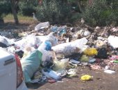 قارئة تشكو من انتشار القمامة بشارع أحمد الزمر فى مدينة نصر