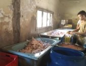 ضبط مجزر دواجن بدون ترخيص بحى شرق شبرا الخيمة