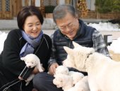 زعيم كوريا الجنوبية ينشر فيديو لـ6 جراء من الكلاب هدية زعيم كوريا الشمالية