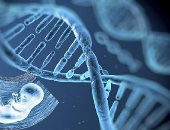 تعرف على أهم الجينات المكتشفة المتسببة فى الإصابة بالأمراض خلال 2019