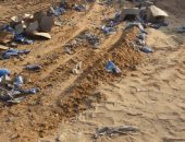 إعدام 11 طن أغذية فاسدة بالشرقية 