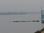 قارئ يكشف أسباب تلوث مياه النيل بفرع رشيد ويطالب المسئولين بمكافحتها