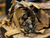 عمره 37 ألف سنة.. اكتشاف أقدم إنسان عاش على أرض مصر