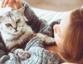 بتربى حيوانات أليفة..اعرف أسباب حساسية القطط وأعراضها وعلاجها