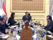 الحكومة تُجهز مبادرة رئاسية لتدريب الشباب الأفريقى