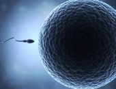 اعرف جسمك.. وتعرف على خطوات حدوث الحمل داخل الرحم