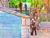 صورة اليوم.. ياما جوا القفص حكايات