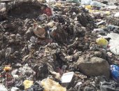 فيديو وصور.. شكوى من تراكم القمامة بشارع مصطفى النحاس فى مدينة نصر
