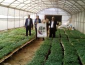 محافظ سوهاج : تحويل صوبات المدارس الزراعية إلى وحدات لإنتاج شتلات الخضر