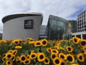 متحف فان جوخ بأمستردام.. أكثر من 100 ألف زهرة عباد الشمس تحوله للوحة فنية