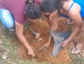 التنمر على الكلاب يصل البرازيل.. شاهد لحظة إنقاذ جرو بعد دفنه حيا.. صور