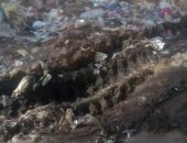 قارئ يشكو انتشار المياه الجوفية بقرية هواره المقطع بالفيوم يهدد المنازل