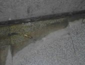 قارئ يشكو من عدم نظافة مستشفى أبو قير بالإسكندرية