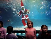 صور.. بابا نويل يسبح مع الأسماك فى احتفالات كوريا الجنوبية بالكريسماس