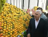 فيديو وصور.. محافظ مطروح يفتتح المعرض الدائم لبيع الخضروات والفواكه بأسعار مخفضة
