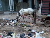 صور ..قطعة أرض فناء تتحول إلى مقلب قمامة فى الغربية