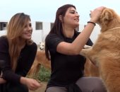 شاهد.. جمعية تونسية تقيم ملجأ للقطط والكلاب الضالة