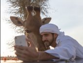 بالسيلفى.. ولى عهد دبى يرحب بصديقه الجديد فى قائمة الحيوانات