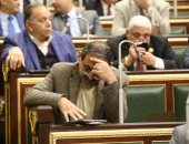 البرلمان يحيل مشروعات قوانين للجان النوعية أبرزها صندوق رعاية المصريين بالخارج.. صور