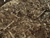 اكتشاف أول وباء فى تاريخ البشرية بمقبرة عمرها 5000 عام بالسويد.. اعرف الحكاية