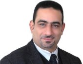 غرفة الحبوب: 50 شركة كبرى سجلت فى منظومة توريد الأرز