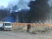 قارئ يشارك بفيديو لحريق هائل بمصنع أعلاف ببنى سويف
