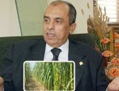 "رفع سعر قصب السكر" يتجه نحو الحل.. لجنة وزارية لوضع السعر الحقيقى.. والبرلمان يجرى حوارات مع الفلاحين للاستماع لمقترحاتهم.. زراعة النواب: ننتظر انتهاء لجنة حساب التكلفة من عملها.. ومطالب بزيادة سعره لـ1000جنيه