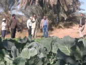 صور.. رئيس مركز الداخلة يتفقد مشروع محطة تنقية المياه وصوب زراعية بالوادى الجديد