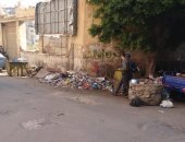 قارئ يطالب بمراقبة النباشين فى الإسكندرية لوقف انتشار القمامة 