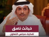 شاهد.. "قطريليكس" تفضح محاولات تميم تفكيك مجلس التعاون الخليجى