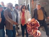نائب وزير الزراعة تعلن زيادة المحاجر البيطرية فى أبو سمبل إلى 23 