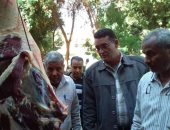 تموين الأقصر تحرر مخالفات لمحلات جزارة وسوبر ماركت للذبح خارج المجزر