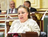 مجلس النواب يوافق على تشكيل المجلس القومى لذوى الإعاقة من 19 عضوا