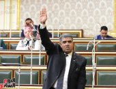 مجلس النواب يوافق على المادة المنشئة للمجلس القومى لذوى الإعاقة