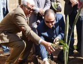 محافظة أسوان تطلق فعاليات الحملة الزراعية لزراعة 3 الاف شجرة بمدارس المحافظة