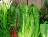 خس واتغذى.. 6 خضراوات ممكن تاكلها فى الشتاء لو عامل رجيم