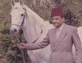 معلومة × صورة .. اعرف قصة حصان الملك فاروق.. بيع فى مزاد بعد الثورة