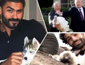 أشهر 10 حيوانات حديث السوشيال ميديا × 2018 .. اعرف قصصها