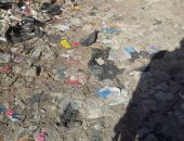 قارئ يشكو من انتشار القمامة بشارع حمدى بمحطة القصر دائري المرج