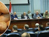 مستوردو تقاوى البطاطس تحت مجهر البرلمان.. سعر الطن يصل لـ46 ألف جنيه.. "زراعة النواب" تفتح الملف.. الشعينى: اجتماع موسع لحل الأزمة ووضع الضوابط.. وكيل اللجنة: على الدولة أن تستورد وترحم صغار الفلاحين