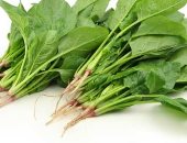 حماية من السرطان والشيخوخة.. كم فائدة يحصل عليها جسمك من تناول السبانخ