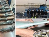 الدولة تستعيد حقوقها.. تحصيل 40 مليون جنيه مخالفات سرقة كهرباء ومليون جنيه بقضايا تهرب ضريبى.. إعادة 91 مليونا كسب غير مشروع ورشوة..و الداخلية تداهم 66 بؤرة إجرامية وتضبط 1133 قطعة سلاح و17 كيلو هيروين