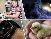 حصاد التكنولوجيا.. علماء يبتكرون تقنية تحدد جنس الكتكوت وأبل تخسر 9 مليارات